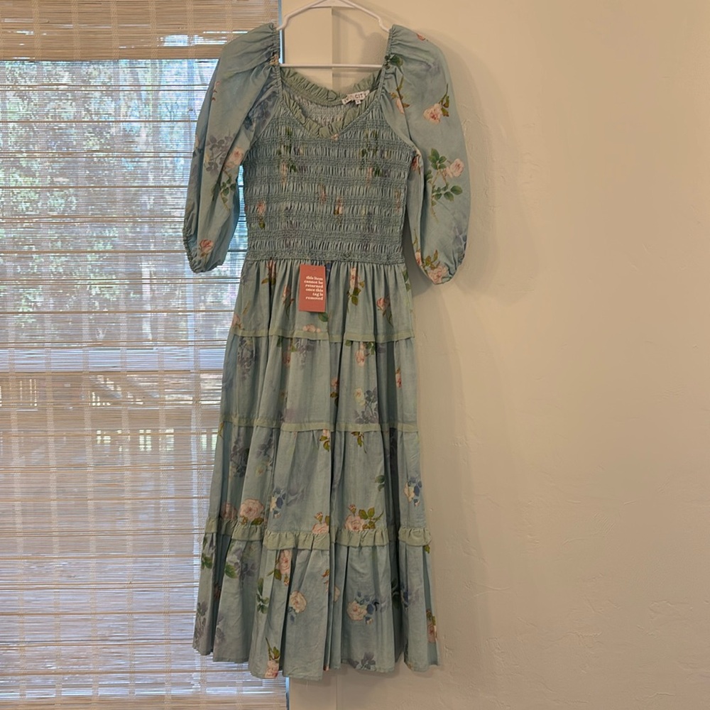 Ivy City Co Roselyn Dress